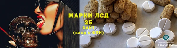 трава Осинники