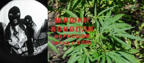 сатива Волгодонск