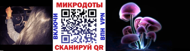 Галлюциногенные грибы ЛСД  Нижняя Тура 